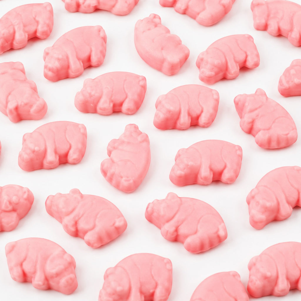 Piglets Gummy Candy | Bag of Gummies | Bulk Candy