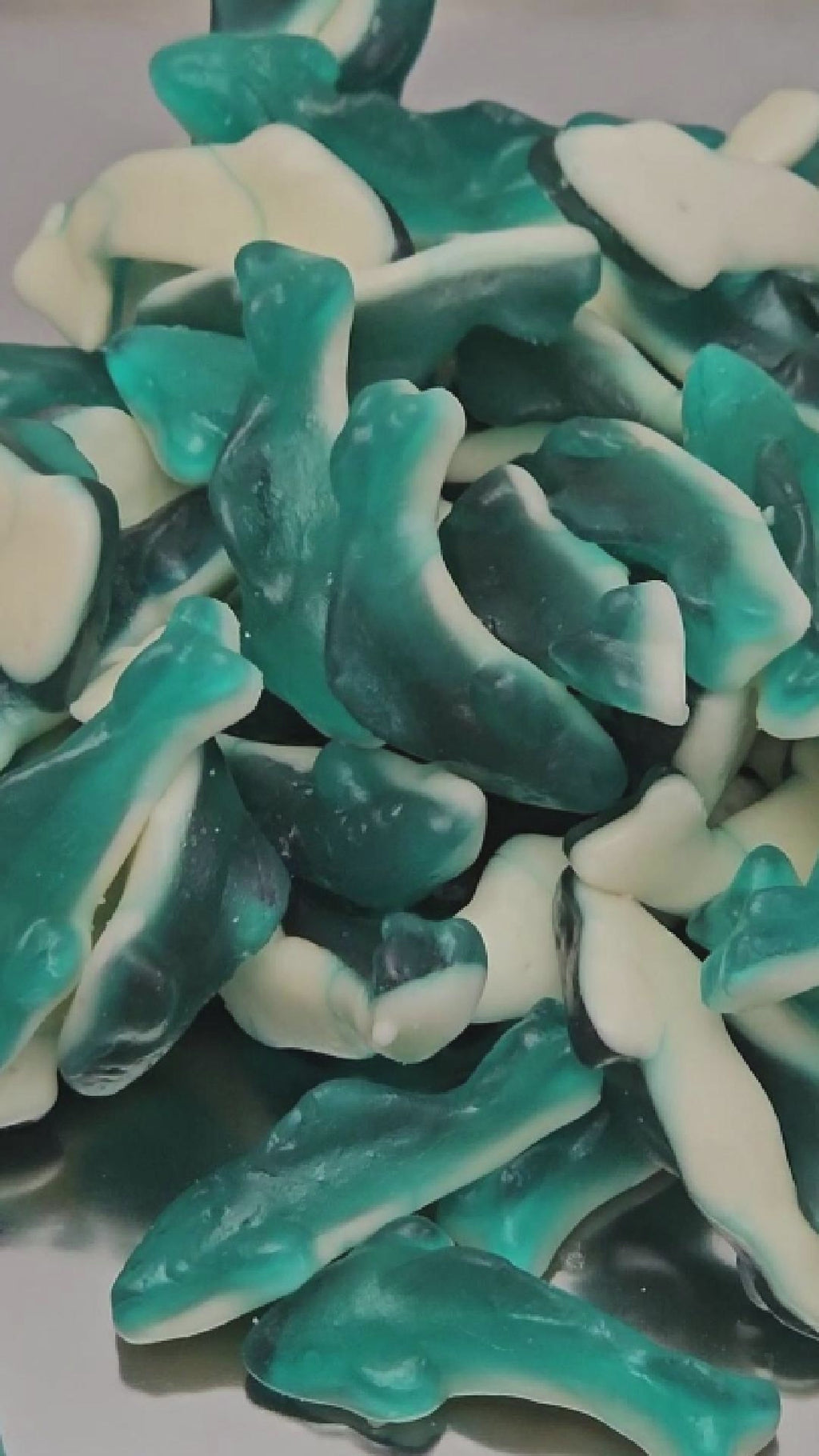 Gummy Sharks Sour Sharks or Sweet Sharks (Your Selection)