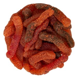Chamoy Chili Gummy Worms Candy | 16 oz (1 LB) Bag | Mexican Style Spicy Candy