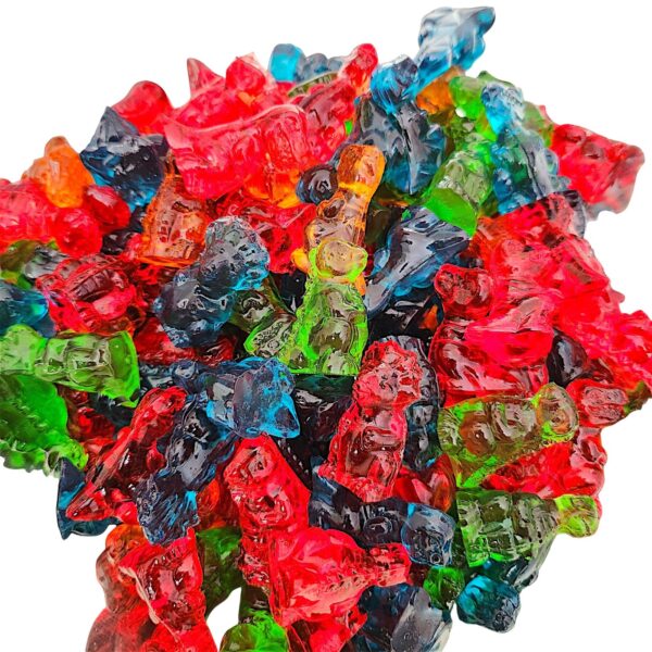 Dinosaurs Gummy Candy | 16 oz (1 LB) Bag of Gummies | Bulk Candy 10 aryellys candy shop image00133