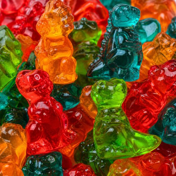 Dinosaurs Gummy Candy | 16 oz (1 LB) Bag of Gummies | Bulk Candy 4 dinosaurs gummy210
