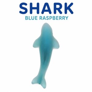Ocean Creatures Gummy Candy | 32 oz (2 LB) Bag of Gummies | Bulk Candy 24 Ocean Creatures Gummy Candy | 32 oz (2 LB) Bag of Gummies | Bulk Candy - Image 12